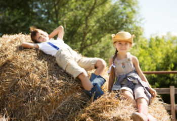 Bewegungsgeschichte: „Linus und Lilli machen Urlaub auf dem Bauernhof“